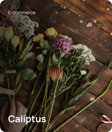 Caliptus